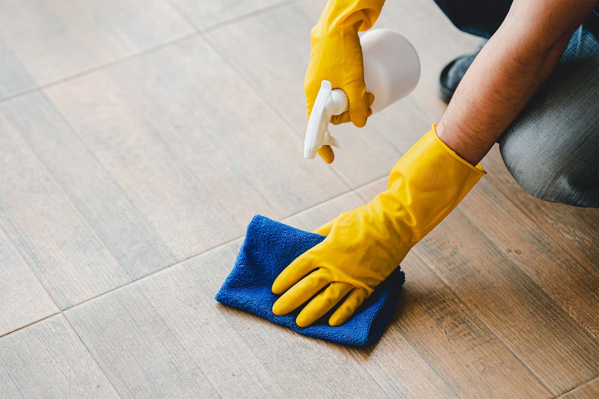 Professional Domestic Cleaners in Ontario